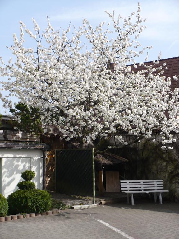 Hotel am Birkenweg Erlangen Buitenkant foto